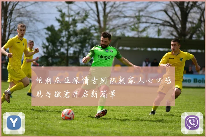 帕利尼亚深情告别热刺家人心怀感恩与敬意开启新篇章